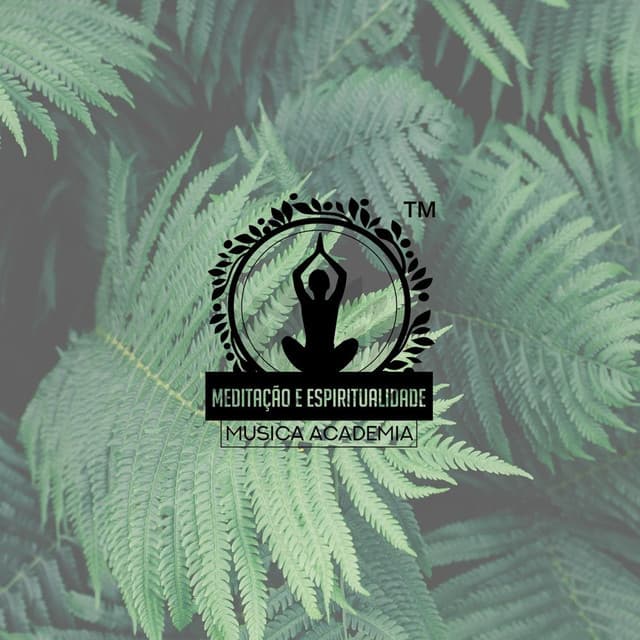 Meditação e Espiritualidade Musica Academia