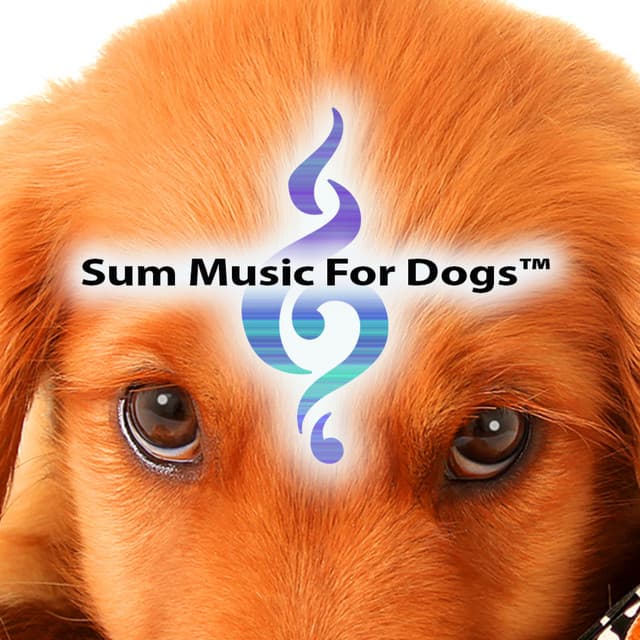 Sum Music For Dogs