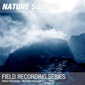 Nature Recordings - Mountain wind noise - Nature Sounds