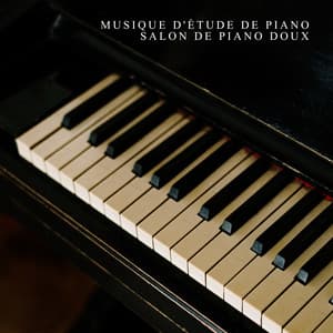 Musique d'étude de piano. Salon de piano doux - Romantique piano musique acadèmie