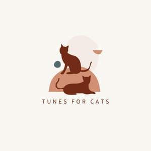 Tunes For Cats - Cat Music DJ