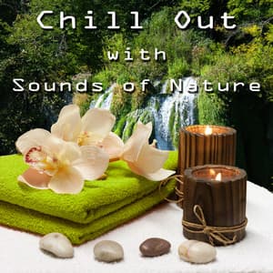 Chill Out with Sounds of Nature - Amazing Relaxation Sounds for Massage, Wellness Spa Lounge, Soothing Sounds, Gentle Touch, Background Music, Tai Chi - Chill Out Sounds Collective