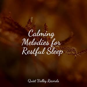 Calming Melodies for Restful Sleep - Rain Recorders