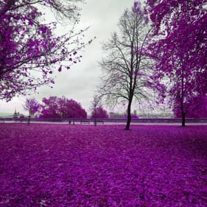 Deluxe Lo-fi - Background for Virtual Style - Lofi Matt