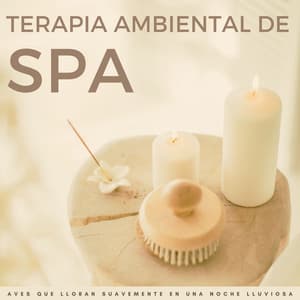 Terapia Ambiental De Spa: Aves Que Lloran Suavemente En Una Noche Lluviosa - Sonidos de Lluvia 24H