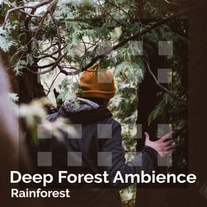 Deep Forest Ambience - Rainforest