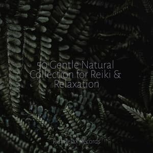 50 Gentle Natural Collection for Reiki & Relaxation - Nursery Rhymes Club