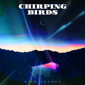 Chirping Birds - Bird Sounds