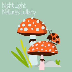 Night Light Natures Lullaby - Mother Nature Soundscapes