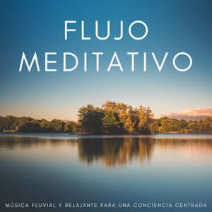 Flujo Meditativo: Música Fluvial Y Relajante Para Una Conciencia Centrada - Centro de Efectos de Agua