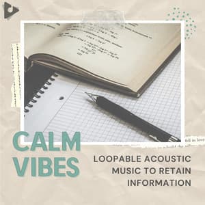 Loopable Acoustic Music to Retain Information - Calm Vibes