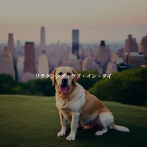 リラクシング・ラフ・イン・タイ - Deutsche Musik zum Lernen