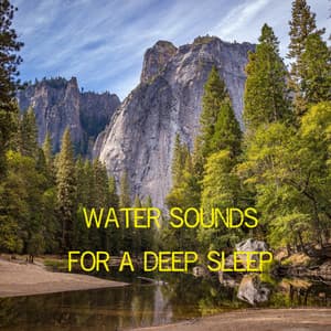 Water Sounds for a Deep Sleep - THE RAIN STUDIO