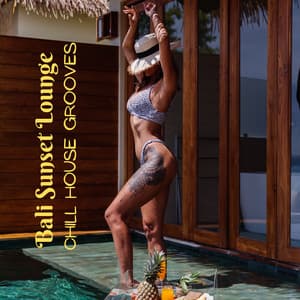 Bali Sunset Lounge: Chill House Grooves - Dj Ssnake