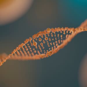 Cell & DNA Regeneration - Hz Frequency Studio