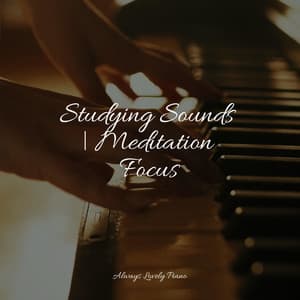 50 Comforting Sounds for Reading - Chillout Piano Lounge