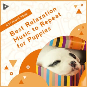 Best Relaxation Music to Repeat for Puppies - Dog Music Hour
