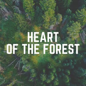 Heart of the Forest - Organic Nature Sounds