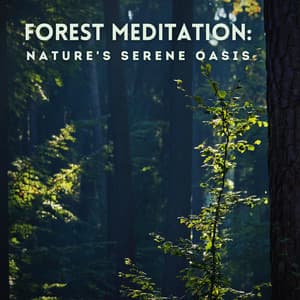 Forest Meditation: Nature's Serene Oasis - Forest FX