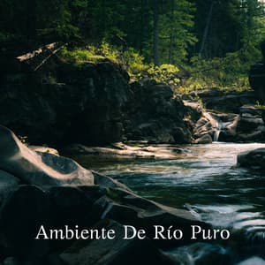 Ambiente De Río Puro - Agua calmante
