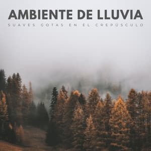 Ambiente De Lluvia: Suaves Gotas En El Crepúsculo - Música relajante para aliviar el estrés