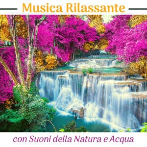 Musica rilassante con suoni della natura e acqua: musica per meditare, fare yoga, rilassarsi, dormire - Amazing Yoga Sounds
