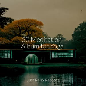 50 Meditation Album for Yoga - MÚSICA PARA NIÑOS