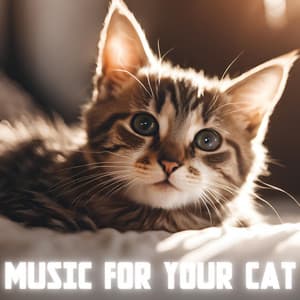 Science Based Music for Cats - Energy Healer