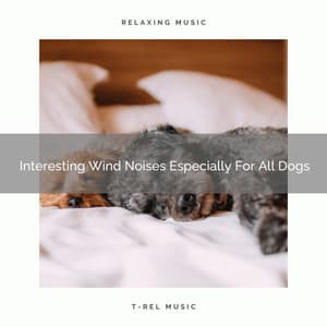 Interesting Wind Noises Especially For All Dogs - Dog Relax