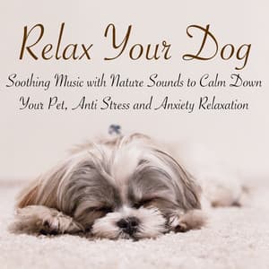 Relax Your Dog – Soothing Music with Nature Sounds to Calm Down Your Pet, Anti Stress and Anxiety Relaxation - Music for Dog's Ears