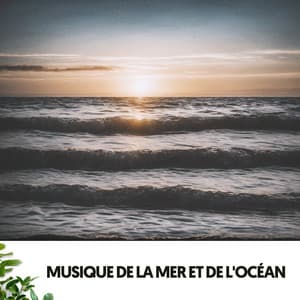 Musique de la Mer et de l'Océan : Mélodies d'Eau et de Sérénité - Ruido Blanco Hart