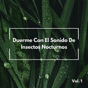 Duerme Con El Sonido De Insectos Nocturnos Vol. 1 - La Naturaleza Del Sueño