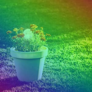 Guitar Trio - Background for Thoughtful Time - Música Chill para Cafés