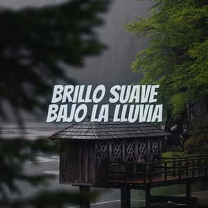 Brillo Suave bajo la Lluvia - Sonidos de lluvia FX