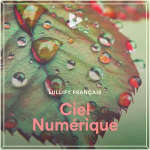 Ciel Numérique - Lullify Français