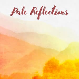 Pale Reflections - Beach Top Sounders