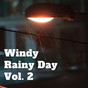 Windy Rainy Day Vol. 2 - Water Sound Natural White Noise