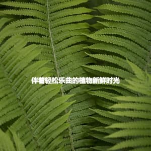 伴着轻松乐曲的植物新鲜时光 - Restaurant Jazz Playlist