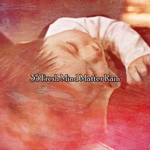 35 Fresh Mind Matter Rain - Storm Sounds