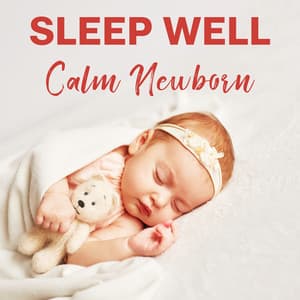 Sleep Well - Deep Sleep System