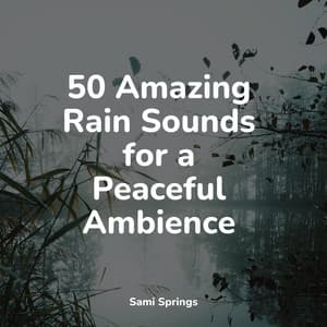 50 Amazing Rain Sounds for a Peaceful Ambience - Música para Relaxar Maestro