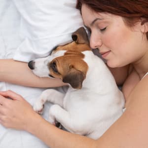 Lofi Doggie Dreams: Melodic Echoes of Canine Comfort - Simple Lo-Fi