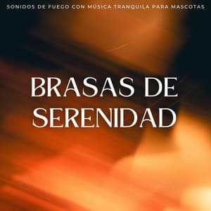 Brasas De Serenidad: Sonidos De Fuego Con Música Tranquila Para Mascotas - Sonidos de fuego de llamas del amanecer