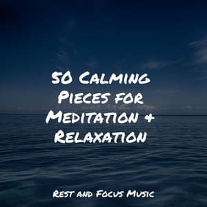 50 Calming Pieces for Meditation & Relaxation - Namaste Yoga