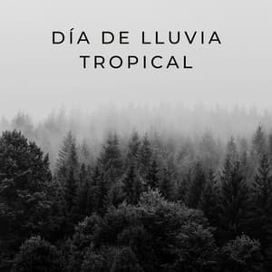 Día De Lluvia Tropical - Ambiente De Lluvia