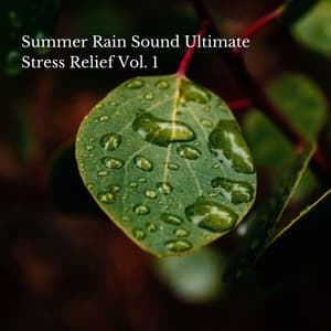 Summer Rain Sound Ultimate Stress Relief Vol. 1 - Relaxing Music for Stress Relief