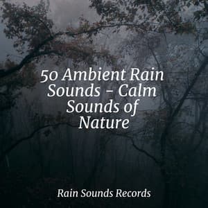 50 Ambient Rain Sounds - Calm Sounds of Nature - Yoga