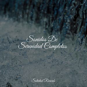 Sonidos De Serenidad Completos - Meditación Interna