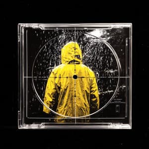 Droplet Dreams - Light Rain Sounds