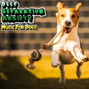 Dog Music For Deep Separation Anxiety - Playlist For Dogs - Deep Separation Anxiety Music For Dogs